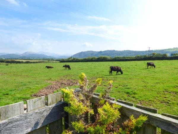 Gable View Villa Drigg Bagian luar foto